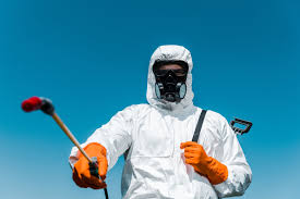 Best Residential Pest Control  in Mbria, CA